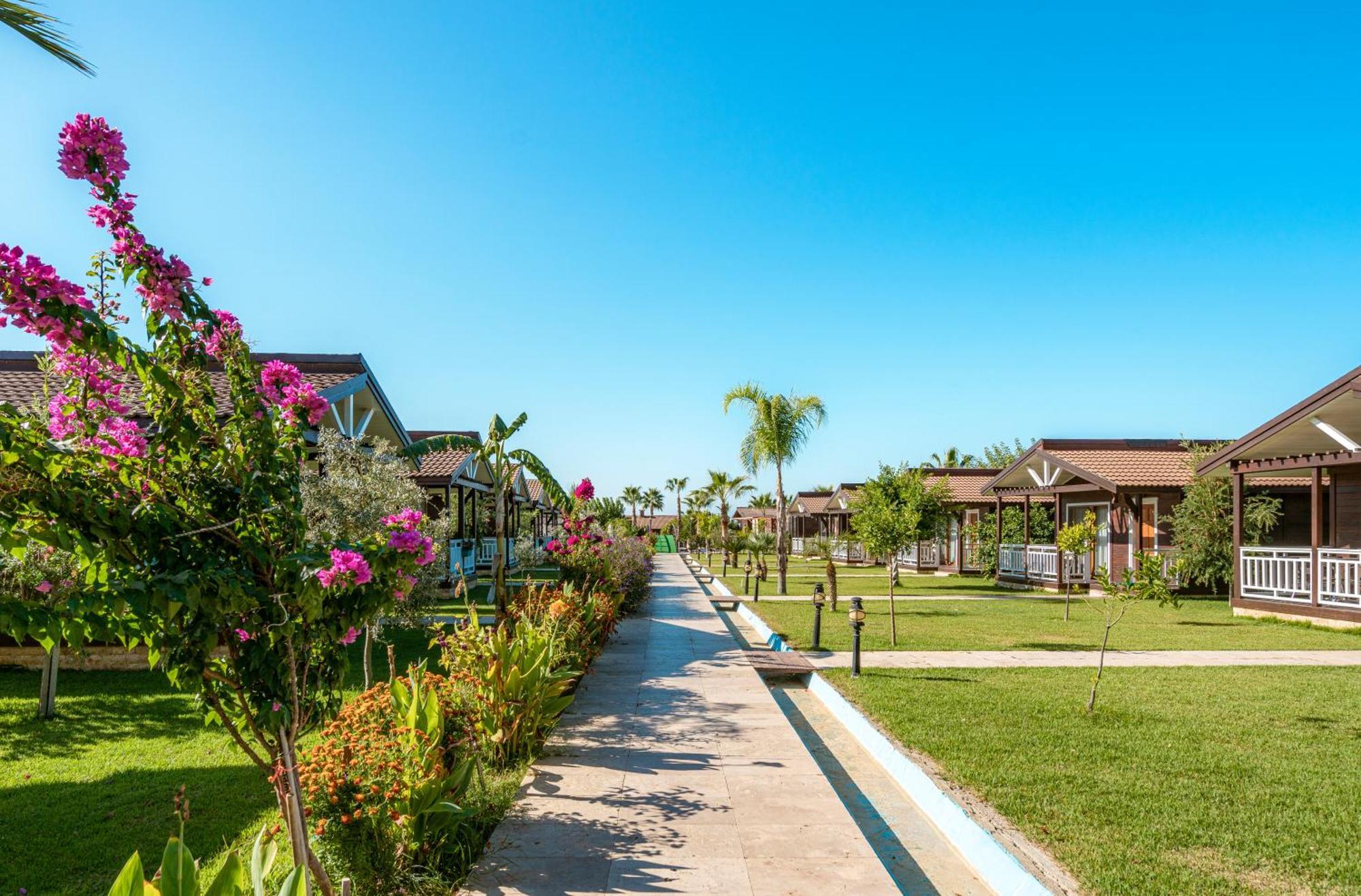 Sedir Park - Beach Bungalow Kargicak  Exterior photo